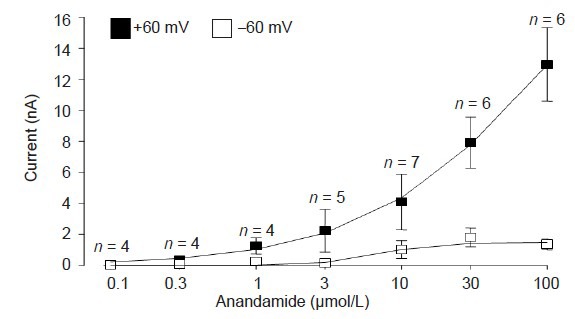 Dose-dependent anandamide-evoked currents (nA) in trigeminal ganglion neurons, measured by the voltage-ramp method from –60 to +60 mV.n numbers represent individual experiments for each data point.