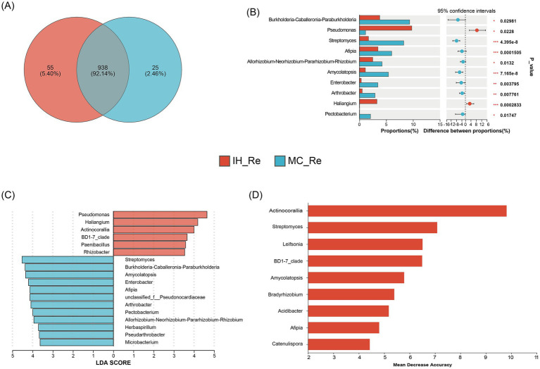 Differential root endophytic bacteria identification between industrial hemp and medical Cannabis. (A) Venn diagram of root endophytic bacteria. (B) Differential analysis of root endophytic bacterial genera. *0.01 < p ≤ 0.05; **0.001 < p ≤ 0.01; ***p ≤ 0.001. (C) Graphical summary at the genus in group sample type of biomarkers by LEfSe. (D) Significant features identified by random forest.