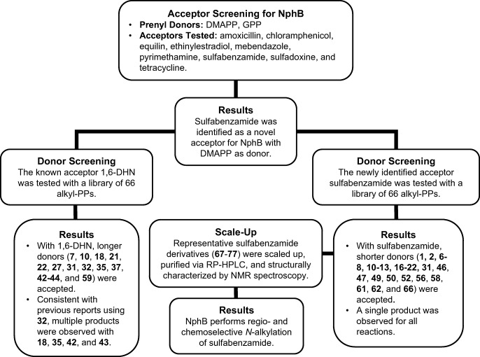 Flow chart summarizing the logical progression of the methods used in this study and the major results of each step