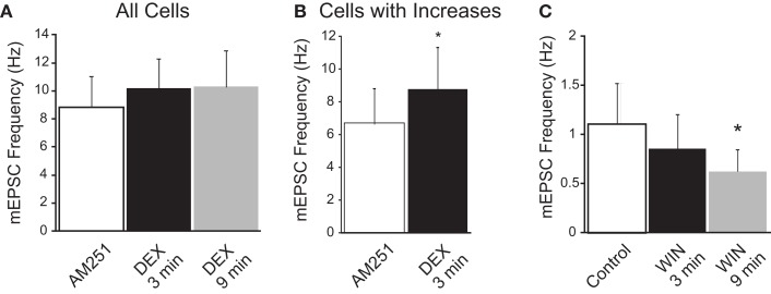 CB1 receptor dependence of dexamethasone (DEX)-induced suppression of mEPSC frequency. (A) In the presence of the CB1 receptor antagonist (AM251; 10 μM), DEX did not elicit a significant decrease in mEPSC frequency (n = 6; ANOVA, Tukey’s). (B) In AM251, DEX increased mEPSC frequency in a subset of neurons. The graph illustrates the mean frequency change in cells in which an increase in mEPSC frequency was detected (n = 4; *p < 0.05, t-test). (C) The synthetic cannabinoid agonist, WIN 55,212-2 (WIN; 10 μM) decreased the frequency of mEPSCs (n = 8; *p < 0.05 from control; ANOVA, Tukey’s); an increase in mEPSC frequency was not observed at either the early or late time point in the presence of WIN.