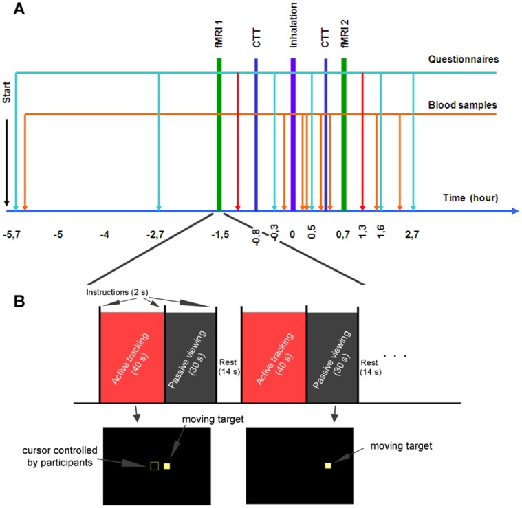 Schematic representation of the experimental day and of the fMRI task.Panel A shows the general scheme of the whole protocol. It includes eight whole blood samplings (orange arrows), 4 of them rapidly after the fixed-pace inhalation procedure (violet bar) in order to construct the kinetics of the main metabolites. Volunteers were asked to perform two fMRI experiments (green bars), once before and once after smoking the joint, and two Critical Tracking Task (CTT) outside the scanner for the assessment of psychomotor skills (blue bars). On six occasions the volunteers filled out questionnaires on the subjectively experienced effects of smoking a joint and their willingness to drive (light blue arrows). After each fMRI, the volunteers filled out another questionnaire in order to detect any change in their tactical skills and in the way they performed the tracking tests (yellow arrows). Panel B summarizes the fMRI protocol organized in a block-design fashion where each cycle of the three experimental conditions (active, passive, and rest) was repeated five times. The rest period was 14 s long, whereas active and passive conditions lasted 40 s and 30 s, respectively. At the beginning of each experimental condition, subjects received a brief visual cue (2 s) regarding the type of task they were required to perform. In the active phase subjects were asked to track the position of a target square that moved along the horizontal meridian by keeping it at the center of a user-controlled square by means of an MRI-compatible joystick (left-most illustration in the bottom part of the panel). In the passive phase subjects were instructed only to visually follow the target square movement (right-most illustration in the bottom part of the panel).