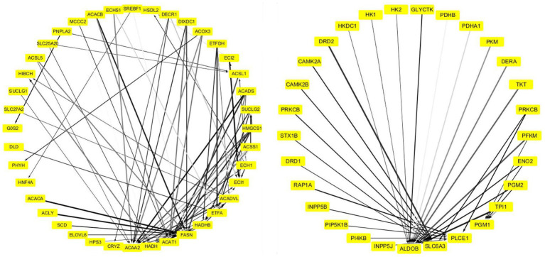 PPI network of the DEGs in “ME-FASN.” Grayscale value of each line correlates with the strength of the interaction between the proteins.