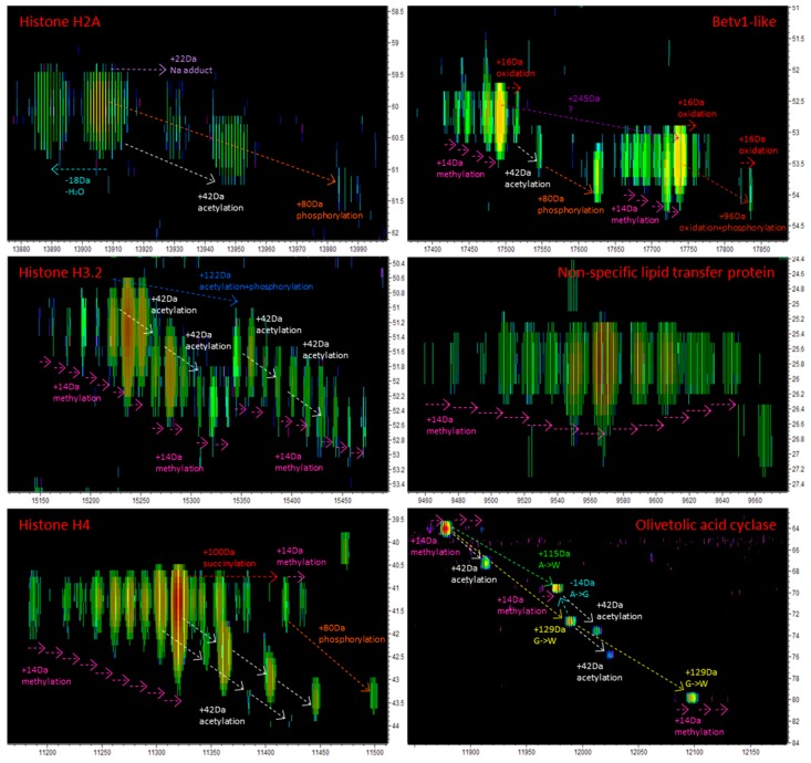 Examples of PTMs of cannabis proteins identified by top-down proteomics (TDP).