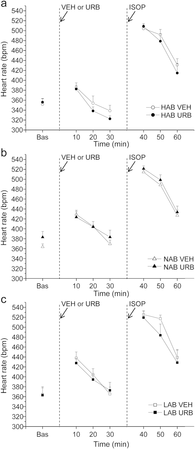 Time course of heart rate changes in HAB (panel a), NAB (panel b) and LAB (panel c) rats (n = 9 per group) in response to (i) inhibition of FAAH activity with URB694 (URB, 0.3 mg/kg) or vehicle (VEH) administration, followed by (ii) β-adrenergic stimulation with isoproterenol (ISOP, 0.02 mg/kg).Data are reported as means ± SEM of a 30-min time period for baseline conditions (bas) and three 10-min time periods after each injection.