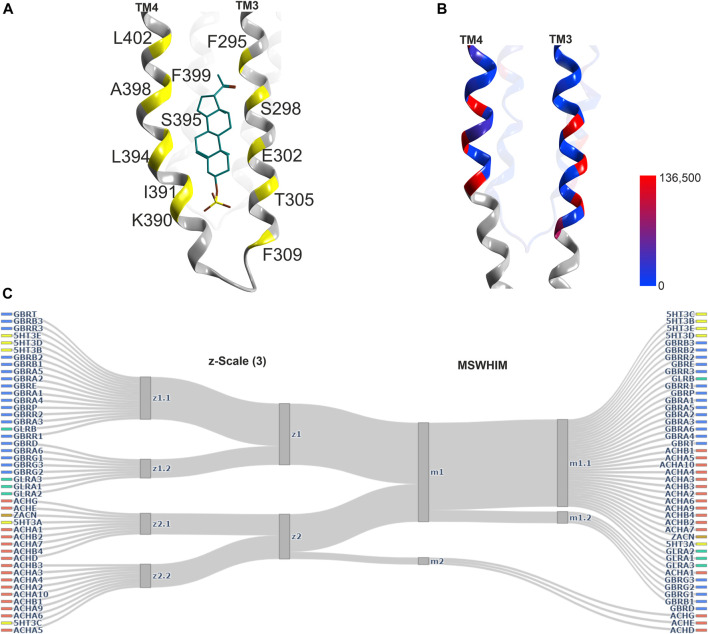 Representative structures of the lipid/TM3/TM4 associated site, and descriptor analysis: (A) Ribbon of the 5OSC structure with pregnanolone sulfate bound. The yellow places on the ribbon indicate the binding site forming positions which were used for the pocket analysis computations. (B) Amount of variants across all genes of interest in the region of this binding site mapped onto 7EKT. Ribbon heatmap represents the sum of minor allele counts per 100,000 at each aligned position. See Supplementary Figures S18,S19 for detailed heatmaps. (D) Comparison diagrams derived from hierarchical clustering of z-Scale(3) and MSWHIM descriptors as estimates for similarities. Supplementary Figure 16 depicts the full dendrograms.