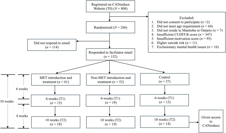 CONSORT Trial Flow Chart