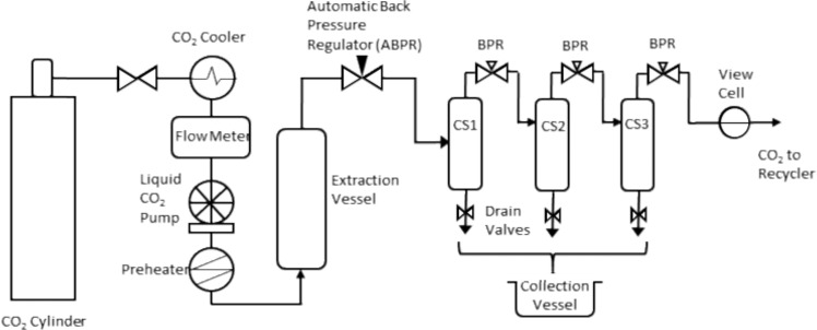 Schematic of the SFE set up. CS = cyclonic separator (cyclone), BPR = manually adjusted back pressure regulator (adapted from Rovetto and Aieta21).