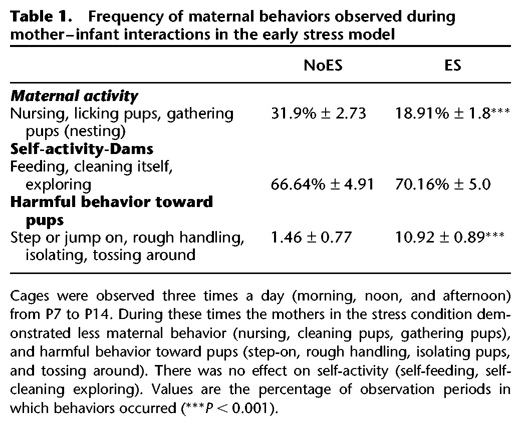 Frequency of maternal behaviors observed during mother–infant interactions in the early stress model