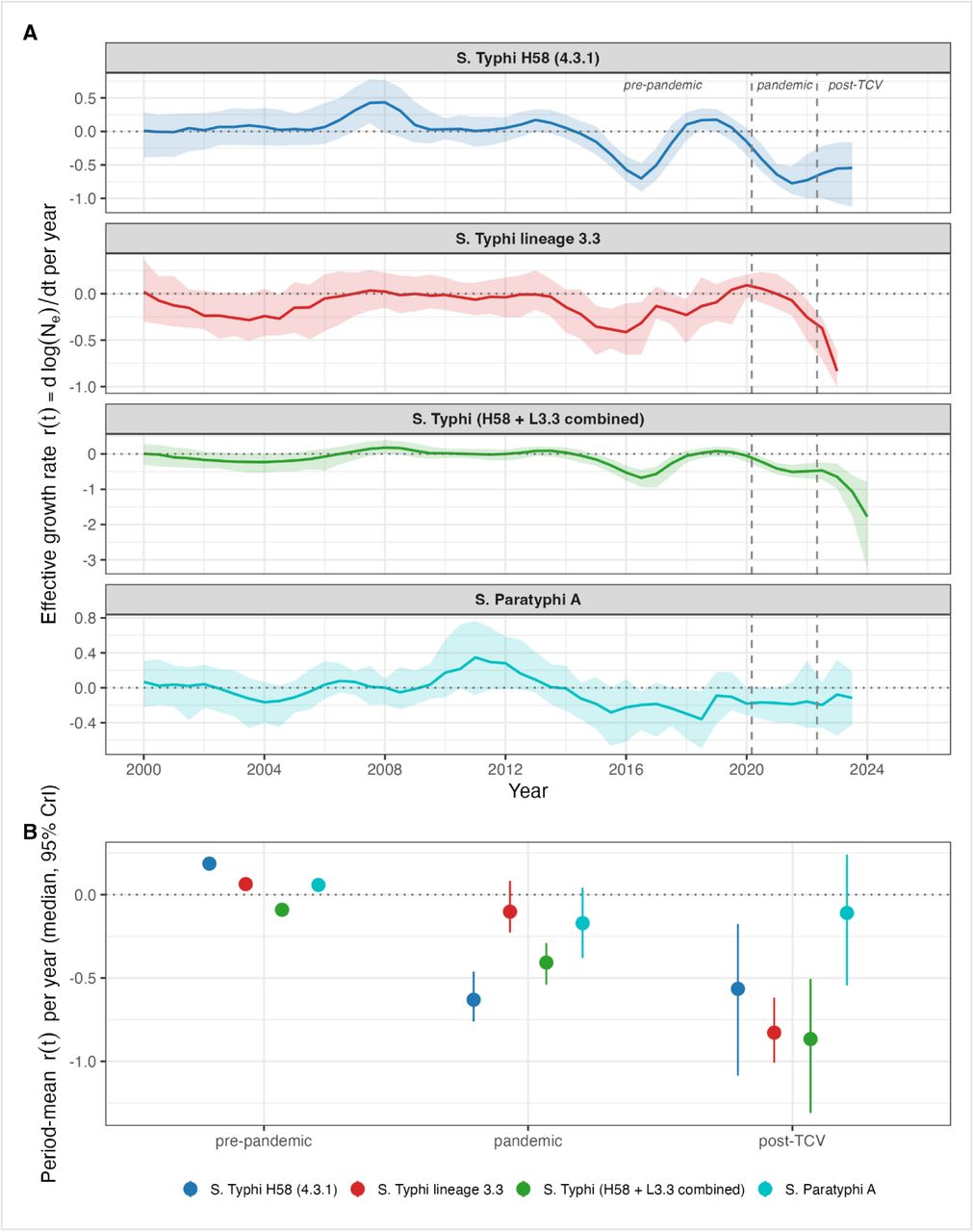 Differential lineage growth dynamics of S. Typhi and S. Paratyphi A in Nepal across the pre-pandemic, COVID-19 pandemic and post-TCV periods.Estimates are derived from a non-parametric skygrowth coalescent analysis applied to 100 BEAST posterior trees per lineage. (A) Instantaneous effective growth rate r(t) = d log Nₑ / dt per year, solid lines show the posterior median and shaded bands the 95% credible interval. Each panel shows one lineage: S. Typhi H58 - 4.3.1 (blue), S. Typhi lineage 3.3 (red), the combined H58 + lineage 3.3 S. Typhi population (green), and S. Paratyphi A (teal). The horizontal dotted line marks r(t) = 0 (constant Ne); vertical dashed lines mark the COVID-19 pandemic onset in Nepal (March 2020) and the national TCV rollout (April 2022) (B) Period-mean growth rate per lineage, summarized as the posterior median (point) and 95% credible interval (vertical bar) within each period.