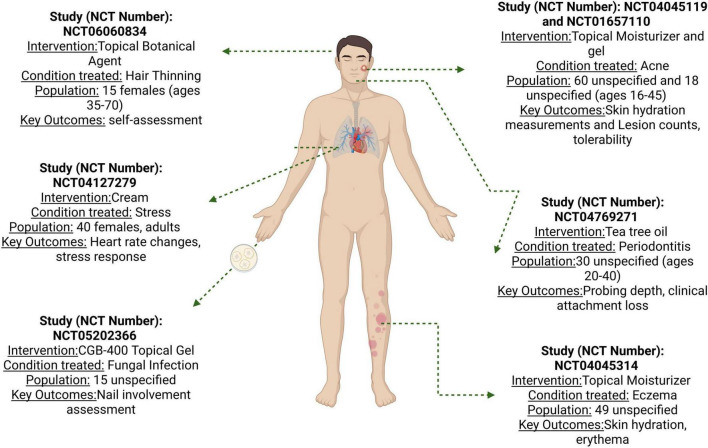 Flowchart illustrating the identification and screening process of records from various databases. Initially, 114 records are identified from sources like Springer Link (15), Wiley (23), Science Direct (14), PubMed (62), Scielo (3), and Clinical Trials (8). After removing 15 duplicates, 79 records are screened. Thirty-three are excluded due to irrelevance, leaving 81 studies included for quantitative and qualitative synthesis.