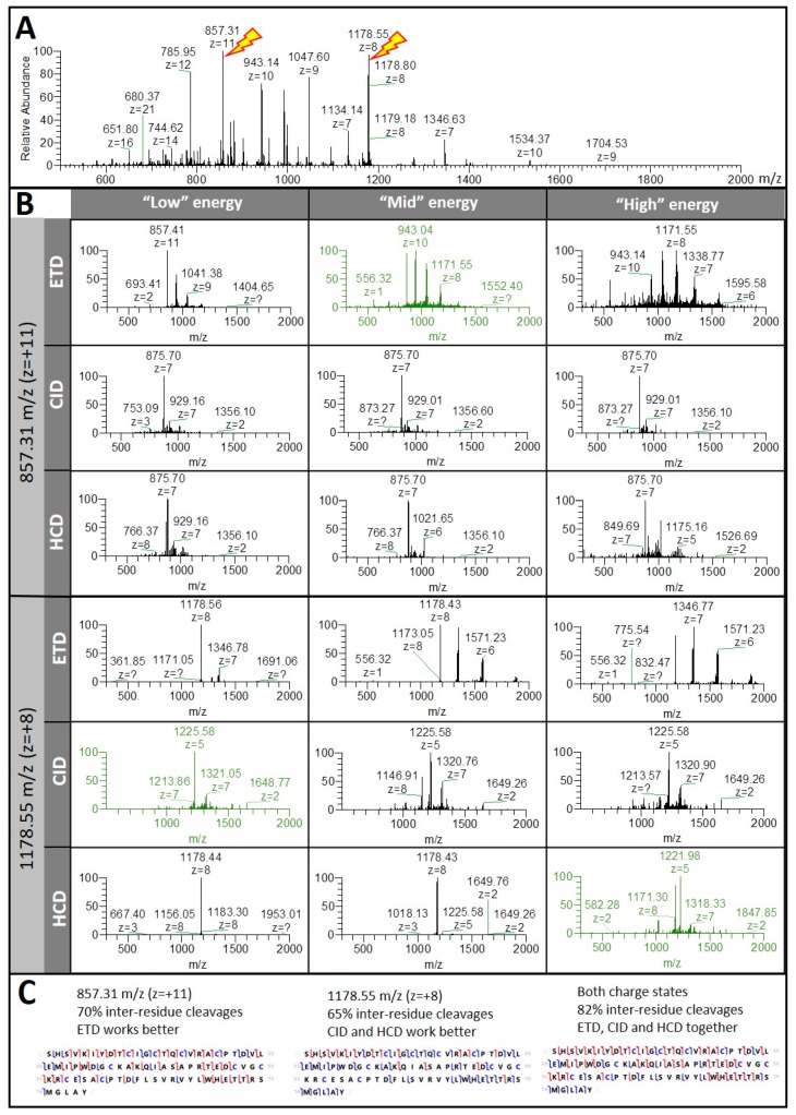 Top-down sequencing summary for C. sativa Photosystem I iron-sulfur centre (PS I Fe-S centre, accession A0A0C5AS17). (A) FTMS spectra at 30.8 min, lightning bolts depicts the two most abundant charge states chosen for MS/MS fragmentation; (B) FTMS/MS spectra for both charge states using each of the three MS/MS methods; spectra in green represent the energy level for a particular MS/MS mode that yielded the best sequencing information; (C) AA sequence coverage for each of the charge states and then combined.