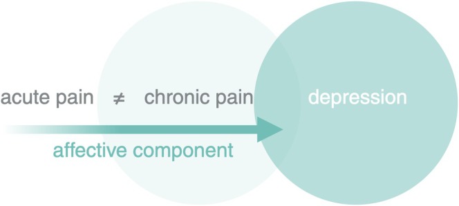 Chronic pain. Chronic pain fundamentally differs from acute pain, involving distinct neural mechanisms and brain regions, with particular emphasis on those related to affective processing. Chronic pain is a disease with notable similarities to depression. Created in BioRender. van Strien, W. (2025), https://BioRender.com/u01c0fg.