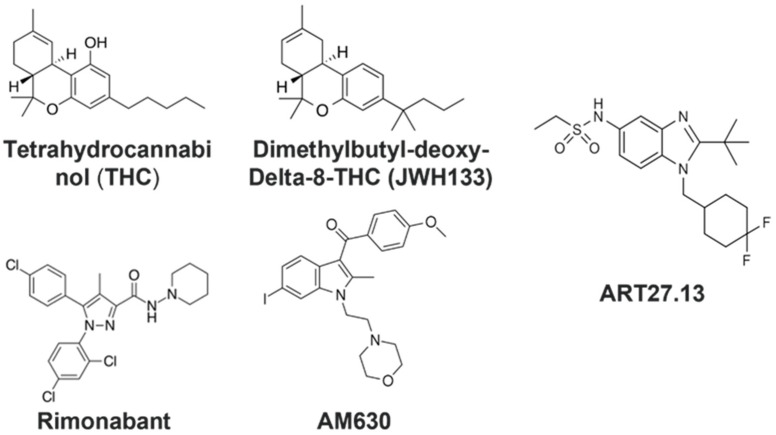 Structures of the cannabinoid receptor agonists/antagonists examined in this study.