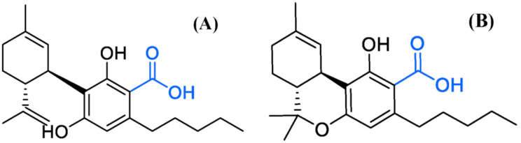 Carboxyl group of acid cannabinoids. (A) Cannabidiolic acid, (B) ∆9-tetrahydrocannabinolic acid. Carboxyl groups are removed by heat treatment and converted into neutral cannabinoids.