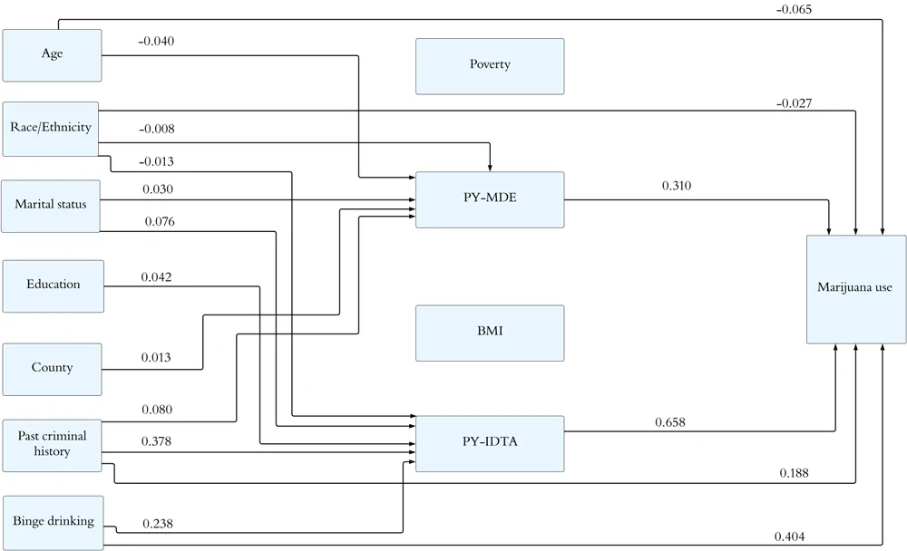 The figure shows arrows coming from 7 text boxes on the left and 4 text boxes in the middle. Arrows come from the text boxes on the left and come to an end at the text boxes in the middle or the one on the right, which is marked “Past-year marijuana use.” Arrows from 2 of the text boxes in the middle lead to the text box on the right. The arrows represent significant pathways; those that point to the text box marked “Past-year marijuana use” represent significant pathways to marijuana use. The arrows show that age had a direct effect on past-year marijuana use and an indirect effect on past-year marijuana use in the presence of past-year major depressive episodes. Race and ethnicity had a direct effect on marijuana use and an indirect effect on past-year marijuana use in the presence of past-year major depressive episodes. Marital status had an indirect effect on past-year marijuana use and an effect on past-year marijuana use in the presence of past-year major depressive episodes and past-year illicit drug, tobacco, and alcohol use. Education had an indirect effect on past-year marijuana use in the presence of past-year illicit drug, tobacco, and alcohol use. County had a direct effect on past-year major depressive episodes and an indirect effect on past-year marijuana use in the presence of past-year major depressive episodes. Past criminal history had a direct effect on past-year marijuana use and on past-year major depressive episodes and past-year illicit drug, tobacco, and alcohol use as well as an indirect effect on past-year marijuana use in the presence of past-year major depressive episodes and past-year illicit drug, tobacco, and alcohol use. Binge drinking had a direct effect on past-year marijuana use and on past-year illicit drug, tobacco, and alcohol use as well as an indirect effect on past-year marijuana use in the presence of past-year illicit drug, tobacco, and alcohol use.