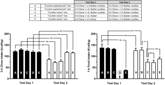 Intake of calories from chow or butter cookies in “cookie-experienced” and “cookie-naive” rats on the 2 test days of Phase 3 of Experiment 1. On Test Day 1, “cookie-experienced” rats were initially exposed to a 3-h chow-feeding session and then either exposed to a 1-h cookie-feeding session (Subgroup A) or given intragastrically an equivalent amount of cookies (Subgroup B); the day after (Test Day 2), both rat subgroups (A and B) were initially exposed to a 3-h chow-feeding session and then to a 1-h cookie-feeding session. On Test Day 1, “cookie-naive” rats were initially exposed to a 3-h chow-feeding session and then treated intragastrically with either cookies (Subgroup C) or water (Subgroup D) or exposed to a 1-h chow-feeding session (Subgroup E); the day after (Test Day 2), all 3 rat subgroups (C-E) were initially exposed to a 3-h chow-feeding session and then to a 1-h cookie-feeding session. Each bar is the mean ± SEM of n = 12 rats. *P < 0.005 and **P < 0.0001 (Šidák test). “ns” stands for “non-significant”.
