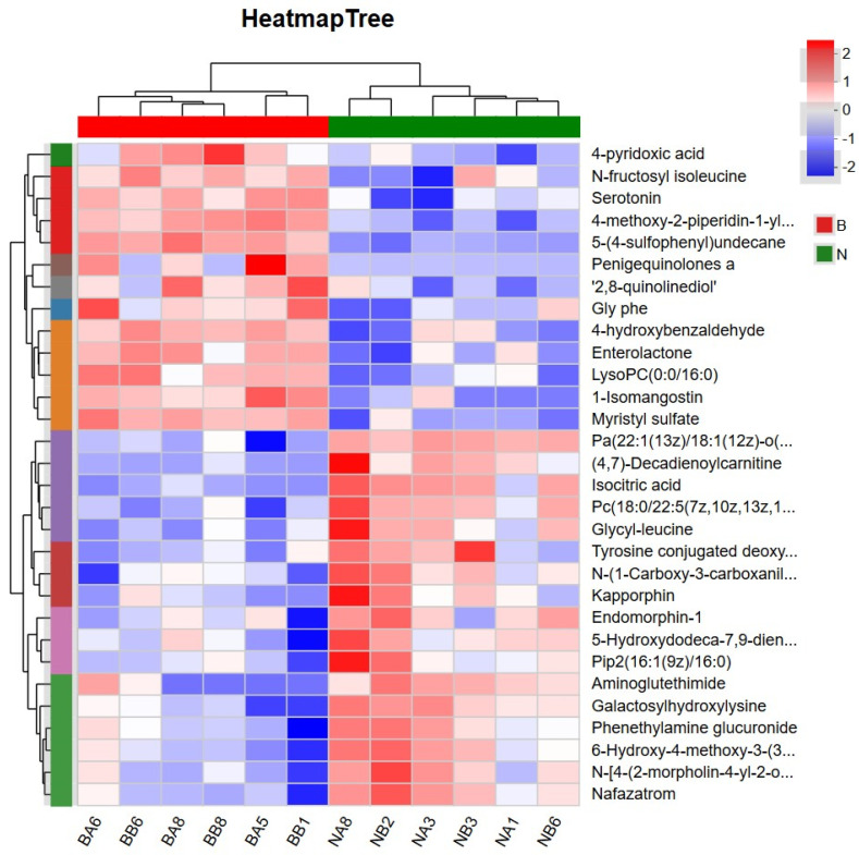 Hierarchical clustering heat map of differential metabolites. Note: N: experimental group serum samples, B: control group serum samples. The red and blue colors indicate up- and downregulated expression of the differential metabolites, respectively.