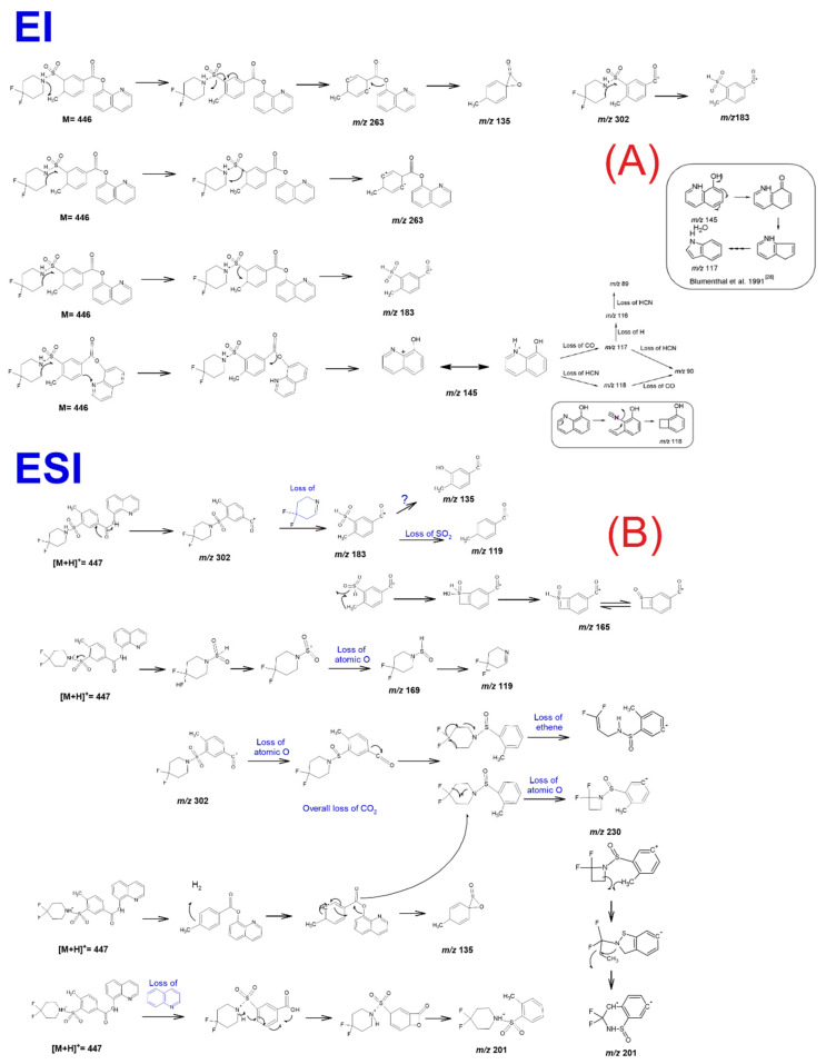 GC-EI-MS (A) and UHPLC-ESI HR-MS (B) suggested fragmentation schemes for identified NPS 2F-QMPSB.