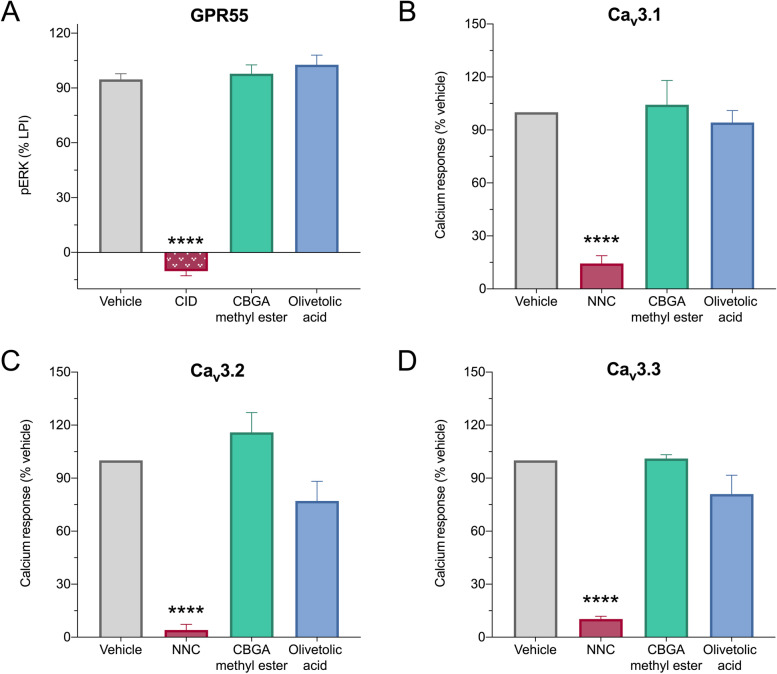CBGA methyl ester and olivetolic acid do not inhibit GPR55 or T-type calcium channels. A HEK293 cells expressing human GPR55 were used to screen compounds for antagonist activity. ERK phosphorylation (pERK) following treatment with EC80 concentrations of the endogenous ligand LPI was determined by Alphascreen Phospho-ERK1/2 assay and used as a measure of GPR55 activation. Compounds were screened at a concentration of 10 μM (CID, CID16020046). Data are expressed as a mean ± SEM, with n = 5 per group (****p < 0.0001, one-way ANOVA followed by Dunnett’s post hoc). HEK293 cells expressing human B Cav3.1, C Cav3.2, or D Cav3.3 were used to screen compounds for antagonist activity. Changes in intracellular calcium concentrations were used as a measure of calcium channel activity. Compounds were screened at a concentration of 10 μM (NNC, NNC 55-0396). Data are expressed as a mean ± SEM, with n = 5 per group (****p < 0.0001, one-way ANOVA followed by Dunnett’s post hoc)