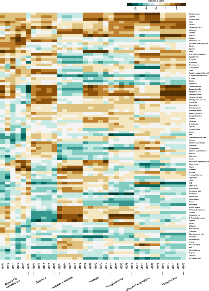 Overview of the linear regression results as a heatmap where β-values from the linear regression between each factor in each model and measured metabolites have been reordered and presented as z-scores with different colors.Both metabolites and models were hierarchically clustered. M model, F factor.