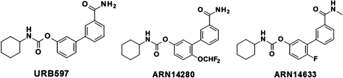 Chemical structures of URB597, ARN14280 and ARN14633
