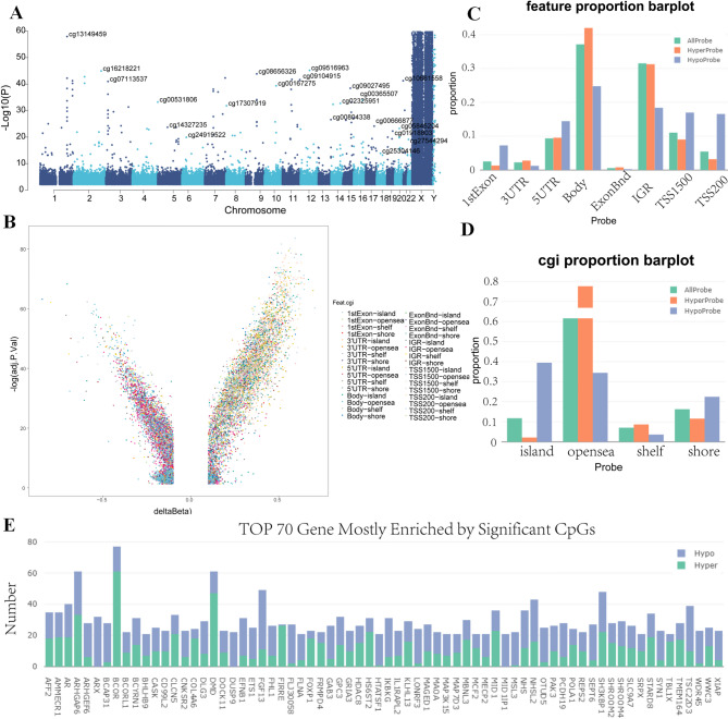 Differentially methylated positions (DMP) analysis in Congenital biliary dilatation (CBD) cases and controls in whole blood. A Manhattan plot of top differentially methylated positions (DMPs) in CBD versus control. B Volcano plot of top DMPs and position of methylation probes in relation to the gene (TSS, transcription start site;IGR, intergenic region; UTR, untranslated region). C Genomic features of differentially methylated sites in CBD. The distribution of hypomethylation and hypermethylation sites is compared with all probes on the Illumina array. D Graph showing percentages of differentially methylated sites according to their CpG content. E Top 70 genes with the most enriched significantly differentially methylated sites