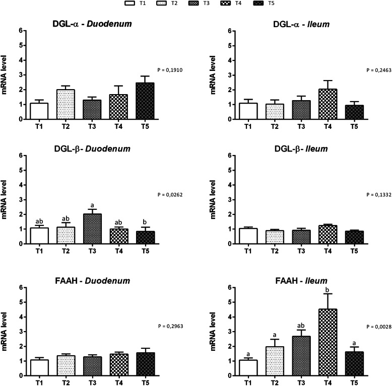 Gene expression of endocannabinoid enzymes in duodenal and ileal mucosa of piglets. Data are expressed as means (n = 8) and S.E.M. represented by vertical bars. a, b Values with different superscripts differ significantly at P < 0.05. T1 = basal diet; T2 = basal diet + 25.5 mg of thymol/kg feed; T3 = basal diet + 51 mg of thymol/kg feed; T4 = basal diet + 153 mg of thymol/kg feed; T5 = basal diet + 510 mg of thymol/kg feed (Vetagro SpA, Reggio Emilia, Italy). A modification of the 2–ΔΔCT method was used to analyze the relative expression (fold changes), calculated relative to the control group (control; Livak and Schmittgen, 2001 [21]). DGL-α = diacylglycerol lipase alpha; DGL-β = diacylglycerol lipase beta; FAAH = fatty acid amide hydrolase