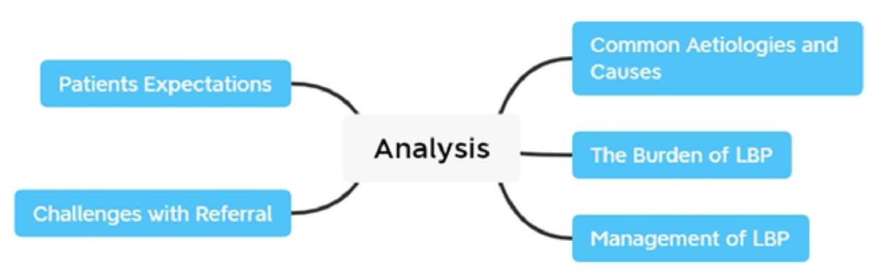 Themes used for thematic analysis.