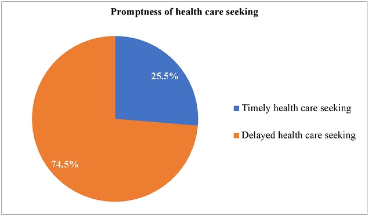 Promptness of healthcare-seeking among caregivers in Yem special woreda public health facilities, Southwestern Ethiopia, 2023 (N=326)