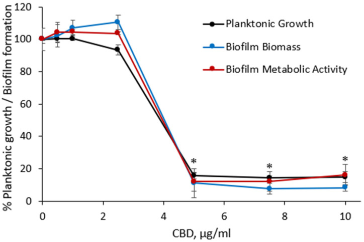 Anti-bacterial and anti-biofilm effect of CBD on S. mutans. The bacteria were exposed to increasing concentrations of CBD for 24 h. The bacterial growth was measured at an optical density (OD) of 595 nm. The biofilm biomass was quantified by CV staining and the biofilm metabolic activity determined by the MTT assay. The average and SEM from a representative experiment are presented. * p < 0.05 in comparison to the control.