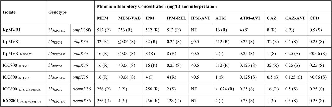 Minimum inhibitory concentrations of beta-lactam antimicrobials and susceptibility interpretations (as per EUCAST clinical breakpoints v15.0, where applicable) of progenitor and transgenic K. pneumoniae isolates determined in the experiments for functional assessment. Subscripts in isolate names indicate transgenic isolates and corresponding genotypes. Abbreviations: MEM, meropenem; VAB, vaborbactam; IPM, imipenem; REL, relebactam; ATM, aztreonam; AVI, avibactam; CAZ, ceftazidime; CFD, cefiderocol, tested in iron-depleted Mueller Hinton broth; NT, not tested. Interpretations of antimicrobial susceptibility: R, resistant; I, susceptible upon increased antimicrobial exposure; S, susceptible. Notations: ompK36fs, frameshifted ompK36; ΔompK36, deletion of ompK36.