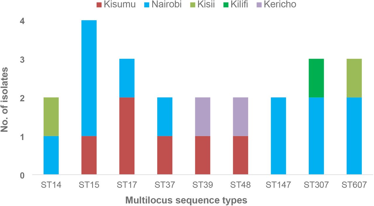 Distribution of the most abundant sequence types of the K. pneumoniae isolates by county.