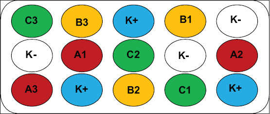 Research design. K(+) Positive control, K(-) Negative control, A: 400 mg squid ink powder/kg feed, B: 500 mg of squid ink powder per kg of feed, C: 600 mg of squid ink powder per kg of feed, 1, 2, 3: Repeated treatment.