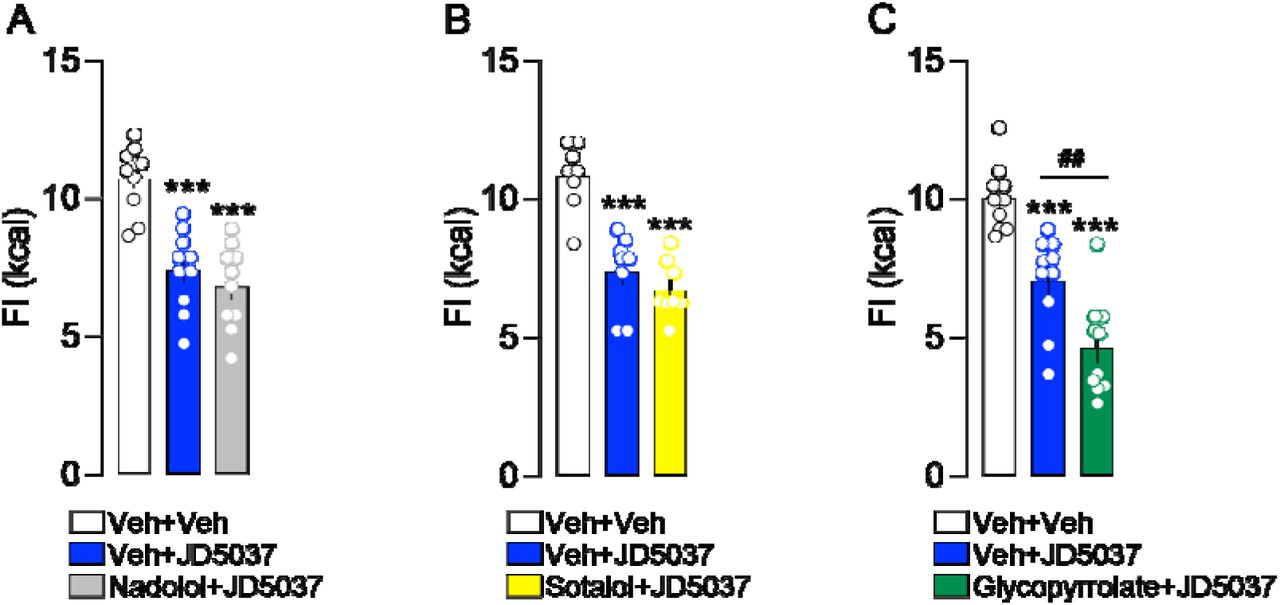 The anorexigenic effect of JD5037 in HFD-mice does not depend on recruitment of the autonomic nervous system.Food intake (FI) following administration of JD5037 in combination with the sympathetic blockers nadolol (A, n=10/group) and sotalol (B, n=8/group), or the parasympathetic blocker glycopyrrolate (C, n=10/group) in HFD-mice. Statistics: One-way ANOVA followed by Bonferroni post hoc test (all panels); ***p<0.001 for comparisons with the Veh+Veh group; ##p<0.01 for comparisons with the Veh+JD5037 group.