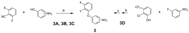 Reagents and conditions: (a) K2CO3, DMF, 80 °C; (b) K2CO3, DMA, 70 °C; (c) SnCl2·2H2O, EtOH, 50 °C.