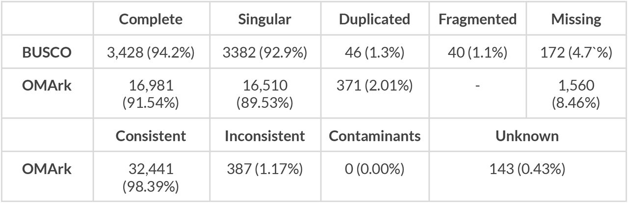 Annotation completeness and consistency scores calculated by BUSCO run in protein mode (Actinopterygii_odb10) and OMArk (Cyprinodontoidei)