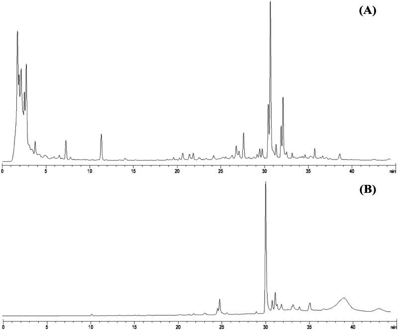 HPLC chromatograms of leaves lipophilic extract (A) and β-sitosterol isolated from leaves lipophilic extracts (B) of T. orientalis in 10 mg/mL concentration (mobile phase; aqueous buffer: methanol, 40:60 v/v).