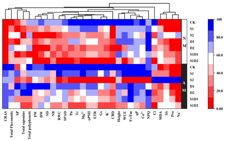 Heat map analysis of hemp inoculated with AMF, salt stress, and drought stress treatments. In the heat map, the color gradient sets bright red as the minimum, dark blue as the maximum, and white as the middle, with an asymptote (or gradient) between these endpoints.