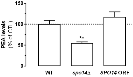 Spo14 is involved in PEA production.PEA levels in SPO14 gene-deleted yeast strain (spo14Δ) are compared to wild-type strain (WT), and to the PEA levels measured in a SPO14 gene-deleted yeast strain in which an SPO14 ORF was reintroduced (SPO14 ORF). Values are the mean±SEM of three experiments, performed in duplicate. ** P<0.01 compared to PEA levels obtained for WT yeast (ANOVA one-way, Dunnett's post test).