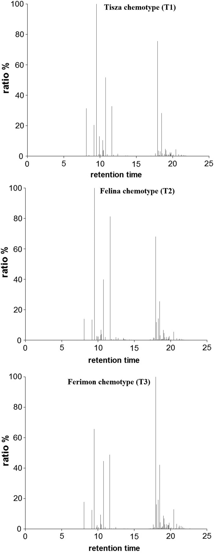 GC/MS spectra of essential oils from three different chemotypes of Cannabis—Tisza (T1), Felina (T2), and Ferimon (T3). Each chemotype displays an individual, characteristic profile. The identity of each peak is summarized in Table 1. GC/MS, gas chromatography/mass spectrometry.