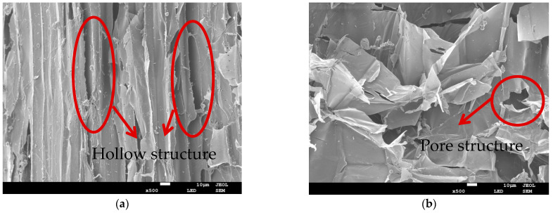 SEM of the morphological structure of hemp stalk. (a) Hollow structure of hemp stalk skin ×500 magnification; (b) Pore structure of hemp stalk core ×500 magnification; (c) Micromorphology of transverse section of hemp stalk ×500 magnification; (d) Micromorphology of transverse section of hemp stalk ×2000 magnification.