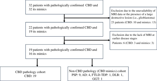 Flow chart showing the inclusion and exclusion of patients with pathologically confirmed CBD and those with mimics. AD, Alzheimer’s disease; CBD, corticobasal degeneration; DLB, dementia with Lewy bodies; FTLD-TDP, frontotemporal lobar degeneration with TAR DNA-binding protein of 43 kDa; GGT, globular glial tauopathy; PSP, progressive supranuclear palsy
