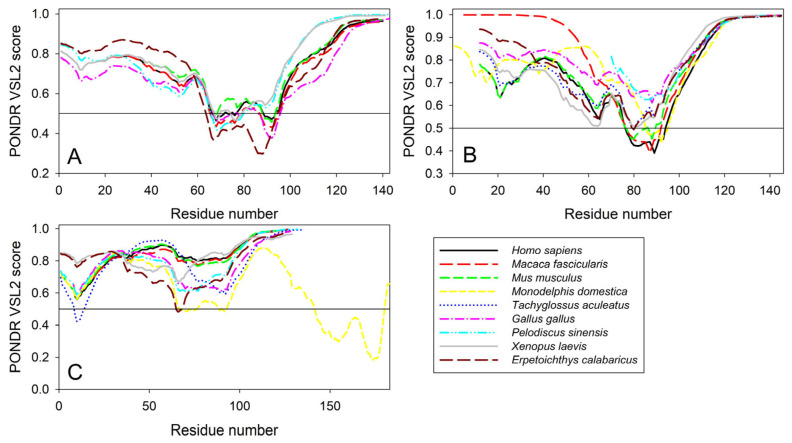 Conservation of the peculiarities of the per-residue intrinsic disorder propensity among the members of synuclein family. Disorder profiles were generated for α- (A), β- (B), and γ-synucleins (C) by PONDR® VSL2.