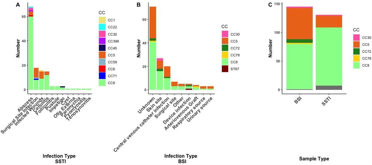 A) Distribution of infection types among the skin and soft tissue infections (SSTIs), stratified by clonal complex. B) Distribution of infection types among the bloodstream infections (BSIs), stratified by clonal complex. C) Clonal complex distribution comparing SSTI and BSI strains.