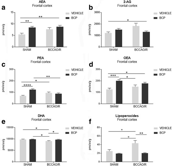 High performance liquid chromatography (HPLC) and liquid chromatography–atmospheric pressure chemical ionization–mass spectrometry analysis of frontal cortex (a-f) of sham-operated and bilateral common carotid artery occlusion followed by reperfusion (BCCAO/R) vehicle and BCP pre-treated rats. a 2-arachidonoylglycerol (2-AG), (b) arachidonoylethanolamide (AEA), (c) palmitoylethanolamide (PEA), (d) oleoylethanolamide (OEA), (e) docosahexaenoic acid (DHA) and (f) lipoperoxides concentrations are reported as mean values of 12 sham vehicle, 12 BCCAO/R vehicle, and 10 sham BCP pre-treated and 10 BCCAO/R BCP-treated rats. Error bars depict the standard error of mean (S.E.M.). Asterisks denote significant differences. Two-way ANOVA with the Bonferroni’s test for post-hoc analyses was applied to evaluate statistical differences between groups. P values < 0.05 were considered significant (refer to Table 1 for F and p values relevant to effects of BCCAO/R and BCP treatment and to interaction between them)