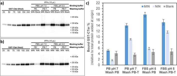 IPP assays to tune incubation buffer and washing conditions to achieve the highest specific to non-specific binding ratio. a Recombinant GST-CTer was loaded at depicted increasing amounts (25–200 fmol) (lanes 1–6) in parallel with 15 µL of IPP samples following binding assays conducted with 100 nM of the target protein and 0.015 mg mL−1 of MIN using different binding and washing buffers (lanes 7–14). Blank experiments were done in the absence of any nanoparticle. b Similar experiments to (a) but, here, results for MIN and NIN are depicted for comparison (lanes 7–14). c Quantification of the percentage of bound GST-CTer as a function of initial target protein concentration input. The data illustrate the binding efficiency of GST-CTer to MIN and NIN nanoparticles under different binding and washing conditions. Results are mean ± SD of n = 3 independent experiments