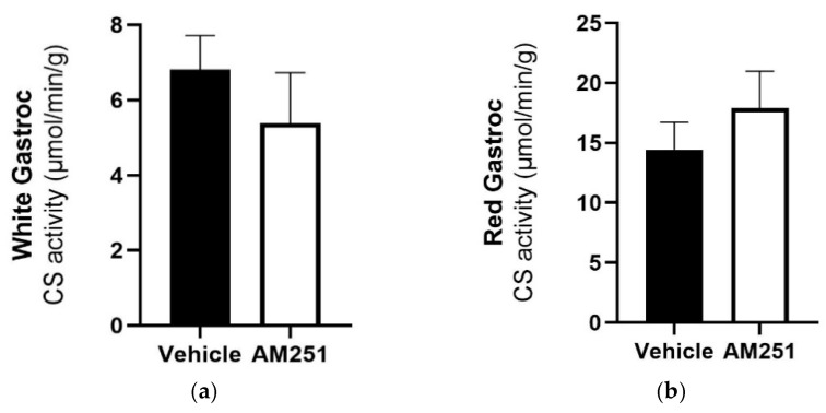 The effect of chronic AM251 treatment on citrate synthase activity in red and white gastrocnemius skeletal muscle in HFD rats. HFD rats were injected daily with either AM251 (3 mg/kg of body weight, ip) or vehicle for six weeks. (a) Red gastrocnemius (n = 9) and (b) White Gastrocnemius (n = 9) citrate synthase activity following treatment with AM251 compared to vehicle treated rats.