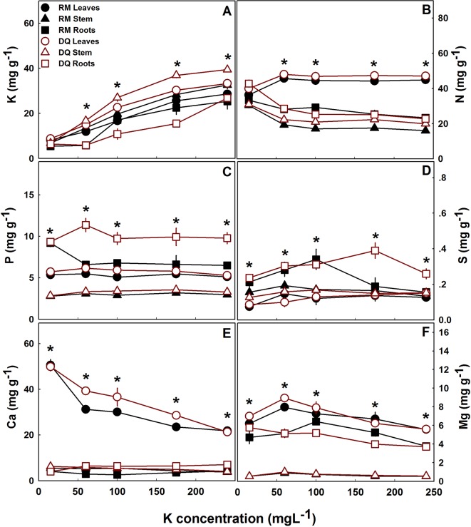 Effect of K supply on macronutrient concentrations in leaves, stem and roots of two medical cannabis cultivars, RM and DQ. K (A), N (B), P (C), S (D), Ca (E), and Mg (F). Presented data are averages ± SE (n = 5). Asterisk above the bars represent significant differences between treatments by Tukey HSD test at α = 0.05.