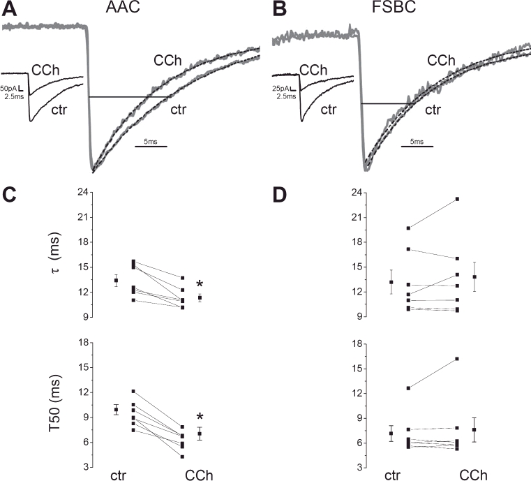 Synaptic cross-talk between release sites of AACs, but not those of FSBCs, may explain the differences in decay kinetics. (A) Two representative superimposed IPSCs originating from an AAC–pyramidal cell pair in control conditions (ctr) and in the presence of carbachol (CCh). Dashed lines represent the exponential fits while the horizontal line illustrates the decay width at 50% (T50) of the peak amplitude. Note that the traces are normalized in order to visualize the changes in the decay. Original traces are shown in the inserts. (B) Same as in A, but with uIPSCs originating from an FSBC cell. (C) Summary of changes in decay time constants (τ) and T50 values at AAC–pyramidal cell pairs in response to carbachol. (D) Same as in C, but for FSBC–pyramidal cell pairs. Each data point represents a cell pair in the line series. Data calculated from seven paired recordings in each case; *P < 0.01.