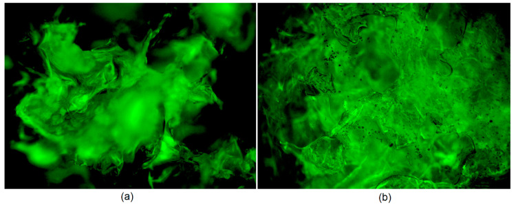 Microphotographs of the samples: (a) swollen hydrogel (40×); and (b) swollen hydrogel modified with ZnO nanoparticles and immobilized CBD (40×).